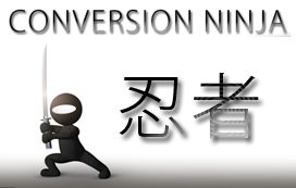 Conversion Ninja - Perfektion in der Leadgenerierung